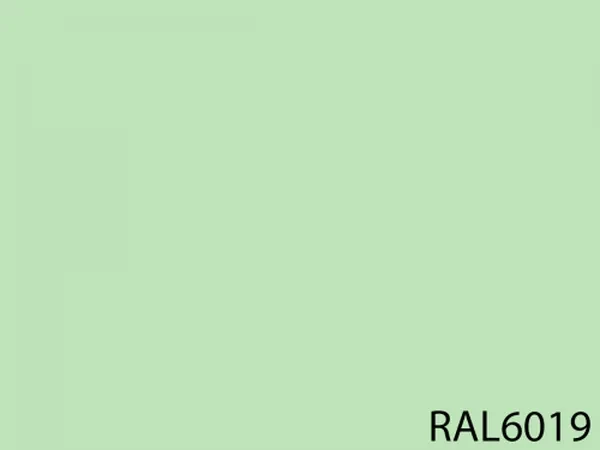 RAL 6019