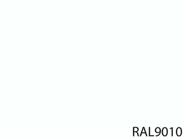 RAL 9010