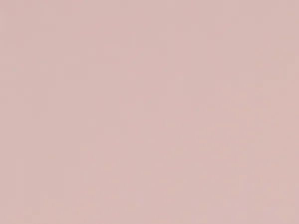 Carina 4980 - bledoružová