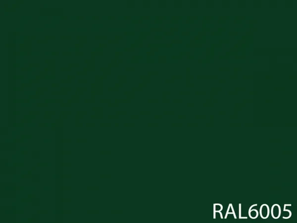 RAL 6005