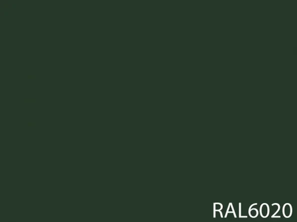 RAL 6020