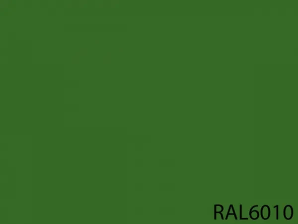RAL 6010