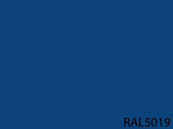 RAL 5019