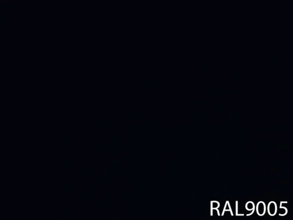 RAL 9005