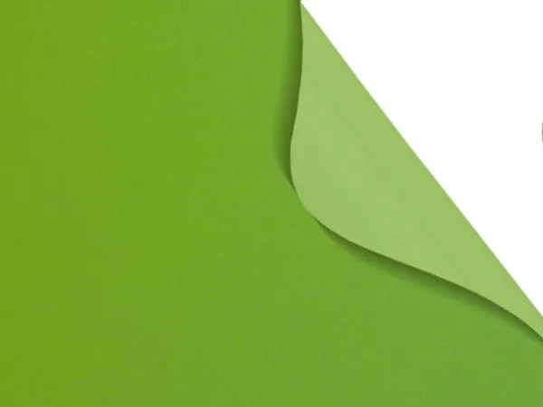 Carina BO 7937 - zelená