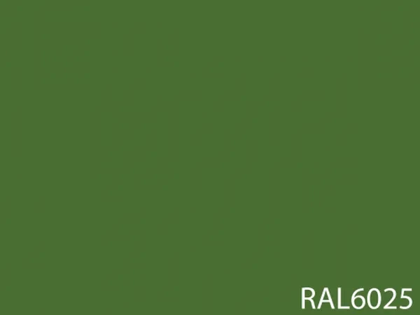 RAL 6025
