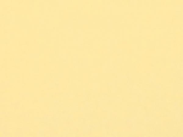 Carina 4960 - svetlá marhuľová